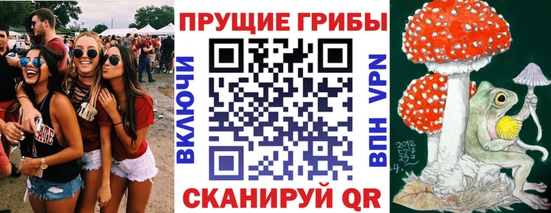 Псилоцибиновые грибы GOLDEN TEACHER  Нестеров 